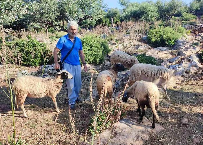 Апартаменты Trisilio Кардамили