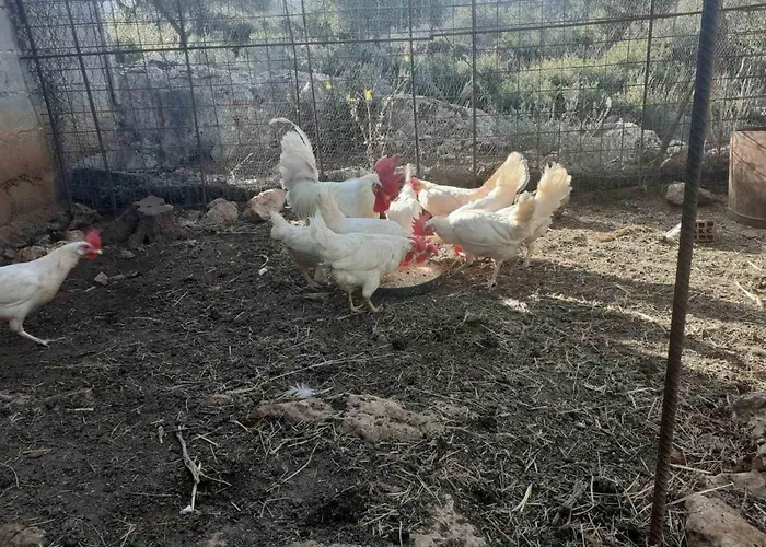 Апартаменты Trisilio *