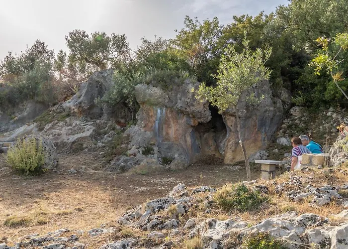 Trisilio * Кардамили