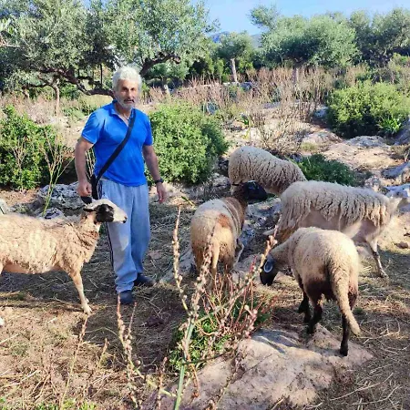 Lejlighed Trisilio Kardhamili