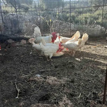 Appartamento Trisilio *